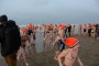 Thumbs/tn_Nieuwjaarsduik Nederzandt 2015 110.jpg